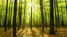 V utorok ešte hrozia búrky, od stredy sa má vyčasiť. Teploty môžu dosiahnuť tropickú hranicu