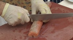 Lososy, ktoré kupujeme, sú umelo prifarbované