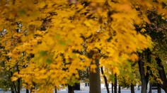 V sobotu zaznamenali meteorólógovia na jednom mieste vyše 15 stupňov Celzia