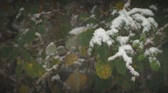 Bláznivý apríl je v plnom prúde. Teploty na úrovni 20 stupňov môže cez víkend vystriedať sneženie