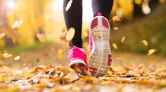 Slnko nám zrejme naposledy uštedrí zo svojich lúčov, treba si ich preto užiť naplno