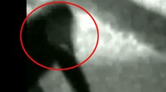 Bezpečnostná kamera v Brazílii zachytila vlkolaka