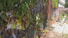 Trojročné úsilie desiatok ľudí zničili vandali za pár sekúnd