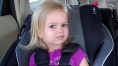 Ikonický meme obrázok je na predaj. Chloe má už 10 rokov, pozrite sa, ako vyzerá dnes