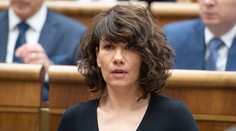 Nicholsonová bude na návrhu kandidátky do volieb hneď za Sulíkom