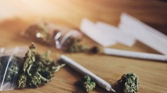 Myslíte si, že marihuana je neškodná? Nová štúdia odhalila negatívny vplyv na dôležitý orgán