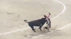 VIDEO: Dychberúci útok býka na matadora. Muž lietal vzduchom ako handra