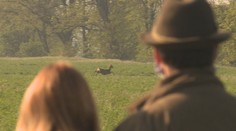 Na Slovensku vznikla aplikácia, vďaka ktorej je možné zachrániť stovky zvierat