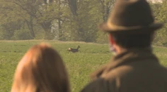 Na Slovensku vznikla aplikácia, vďaka ktorej je možné zachrániť stovky zvierat