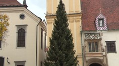 Najkrajší šuhaj je na námestí. Hlavné mesto má už vianočný stromček
