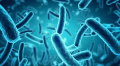 Vedci varujú pred novou hrozbou. Baktérie sú čoraz viac rezistentné voči antibiotikám