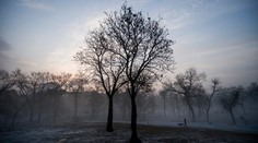 Predpoveď meteorológov: Najbližšie dva týždne u nás poriadne nenasneží