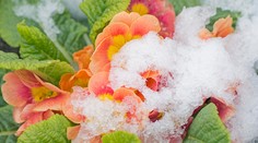 Apríl ako vyšitý, ale cez víkend sa oteplí