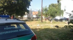 Tragédia v Nitre! V aute našli mŕtvu Kristínku (†2)