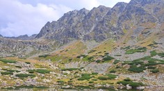 Medvedia téma im už lezie hore krkom. V Slovenskom raji a v Tatrách sa sťažujú na úbytok českej klientely