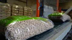 Ľudia sa začínajú obávať zimy bez plynu. Ceny dreva a uhlia prudko vyleteli