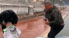 Na Malte počas silnej búrky "pršali ryby". Odvážlivci ich zbierali z cesty
