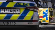 Češka svojho novorodenca zaživa pochovala v kvetináči. Súd rozhodol o jej treste