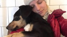 Stal sa zázrak. Psík, ktorého hľadalo celé Slovensko, sa našiel živý