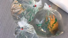 FOTO: Najbizarnejšie zásielky, ktoré poslali Slováci. Známa doručovateľská firma zverejnila fotografie