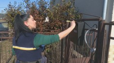 Lucia pracuje ako poštárka v Kriváni. Opísala najväčšie problémy jej práce