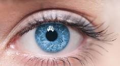 Veľký krok pre vedu: Genetickú liečbu slepoty podstúpila prvá pacientka