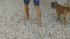 Chodenie na boso je zdravé, no nie je pre každého. Ľudí, ktorí si zvolili život bez topánok, pribúda