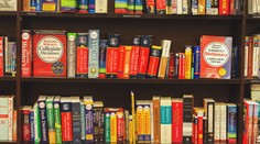 Rok 2020 zhrnutý jedným slovom? Oxfordský slovník ich vybral hneď niekoľko