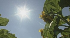 Jar okolo nás iba preblesla. Všetko dozrieva skôr a kvalita plodín je mizerná