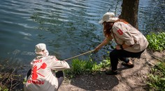 Bratislava pokračuje v boji proti komárom, zaznamenali i nový druh