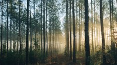 Prekvapivé zdroje uhlíkovej stopy, ktoré by ste zrejme nečakali