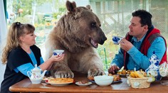 Rodina má doma nezvyčajného miláčika. Za jeden stôl si sadajú s medveďom