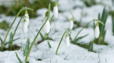 VIDEO: Po jari niet ani stopy. Na Liptove sneží