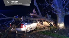 Iba 25-ročný vodič vletel za Bratislavou do stromu. Na mieste bol mŕtvy