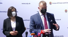 Spory o zmene kolúznej väzby sú azda na konci. Takáto by mala byť dohoda