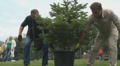 Štedrý darca chce v Košiciach chce vysadiť stovky tisíc stromov. Naráža však na problém