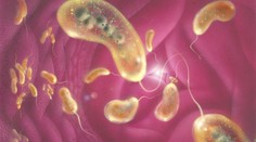 Proteíny z baktérií prinútili nádorové bunky k samovražde. Vedci vidia na obzore novú liečbu rakoviny