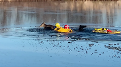 Topiaceho jeleňa zachránili hasiči, neodradila ich ani ľadová voda v jazere Kansas