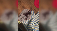 Postup polície v prípade besnenia Humenčana preveria. Napadnutí manželia sa sťažujú