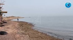 Ďalší krvavý útok žraloka v Egypte. Obrovský predátor pripravil ženu o ruku, v letovisku zatvorili všetky pláže