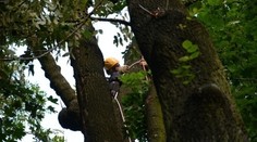 Zranený muž uviazol v korune stromu, pomohli mu až hasiči