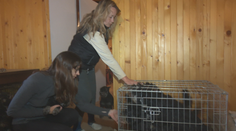 V obci, ktorá vymiera, je opäť rušno. Domov tam našli matky s deťmi, ktoré si so sebou priniesli netradičnú a veľkú rodinu