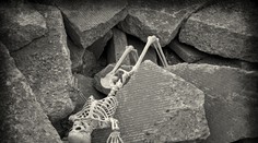 V Prešove pri výkopových prácach našli ľudské kosti