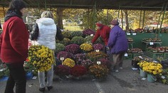 Koľko vás vyjdu dušičky? Porovnávali sme ceny na západe a východe