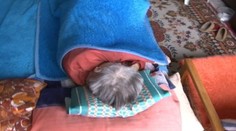 Mali ich opatrovať, miesto toho dôchodcom ukradli 20-tisíc eur