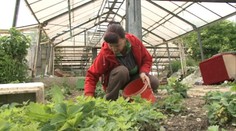 Zeleninu vypestovanú bezdomovcami dostali aj deti