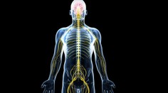 Na Slovensku sa čoraz častejšie vyskytuje choroba, ktorá robí z mladých invalidov