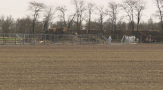 Videá z pohrebiska kráv v Maďarsku vyvolali na Záhorí paniku. Môže sa niečo podobné stať aj u nás?