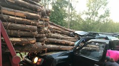 Šťastie v nešťastí: Vodičovi zničeného auta uviazla hlava presne medzi guľatinami