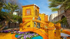 Úžasný citrusový festival. Všetko, čo uvidíte je z ovocia